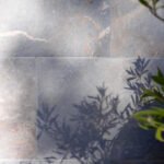 Nature embellishment with Silver Ash