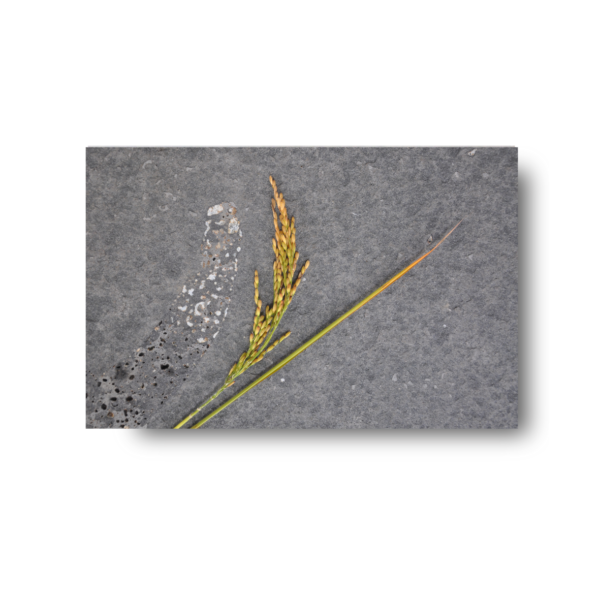 Vietnam bluestone For Driveway, Pool